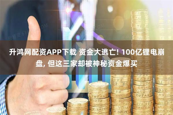 升鸿网配资APP下载 资金大逃亡! 100亿锂电崩盘, 但这三家却被神秘资金爆买